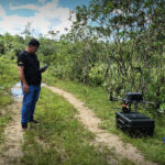 Pesquisadores realizam mapeamento aéreo e análise de estruturas em Cananéia